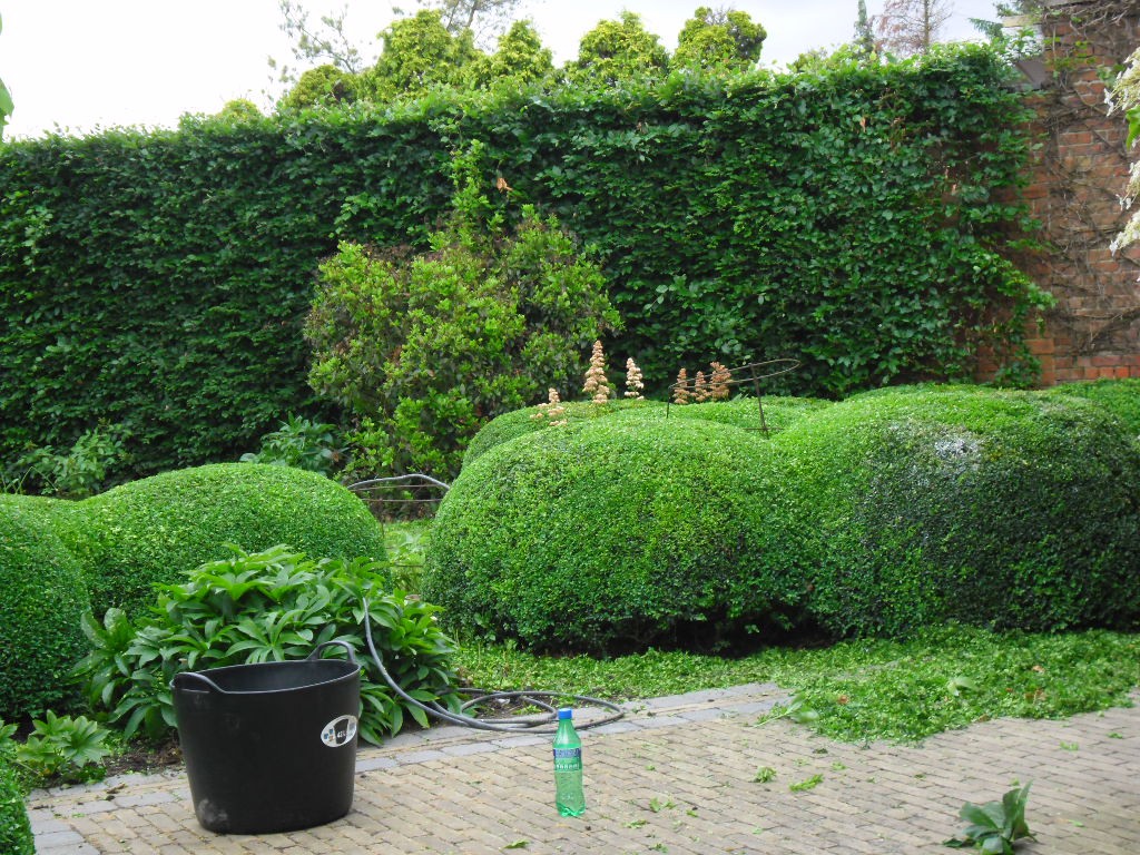 Tuinonderhoud — realisatie 3 door Tuinen Goovaerts