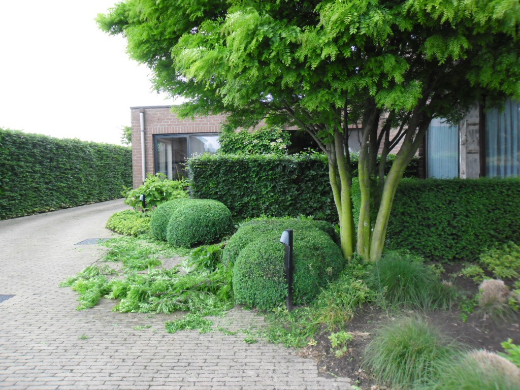 Tuinonderhoud — realisatie 4 door Tuinen Goovaerts