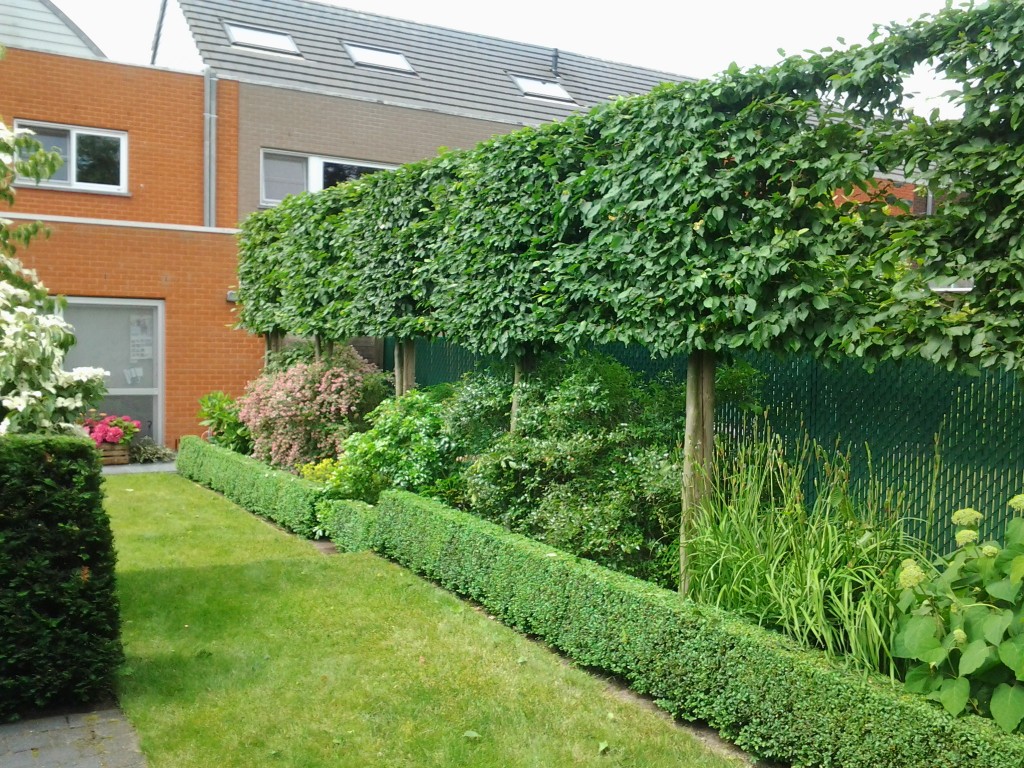 Tuinonderhoud — realisatie 9 door Tuinen Goovaerts