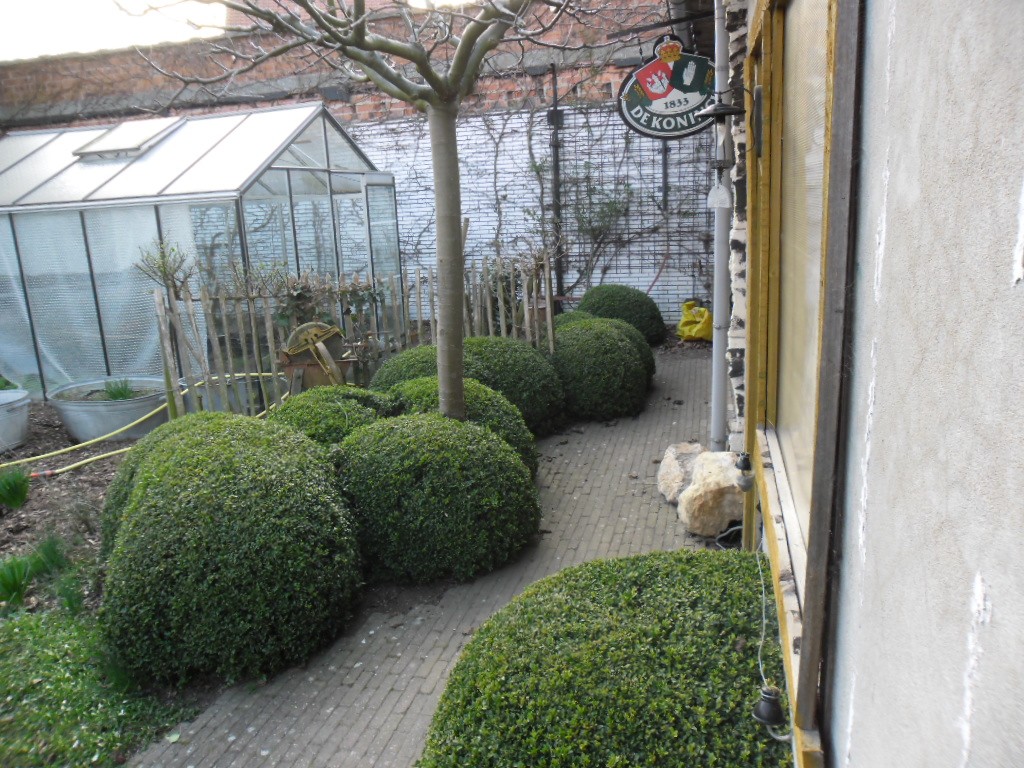 Tuinonderhoud — realisatie 7 door Tuinen Goovaerts