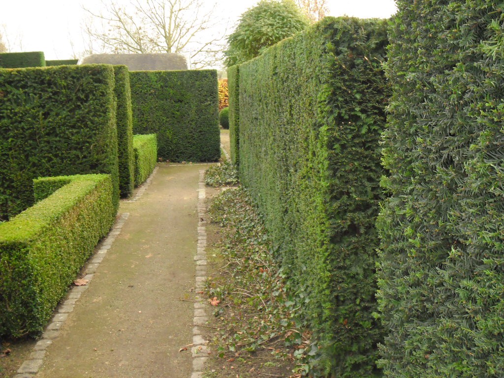 Tuinonderhoud door Tuinen Goovaerts