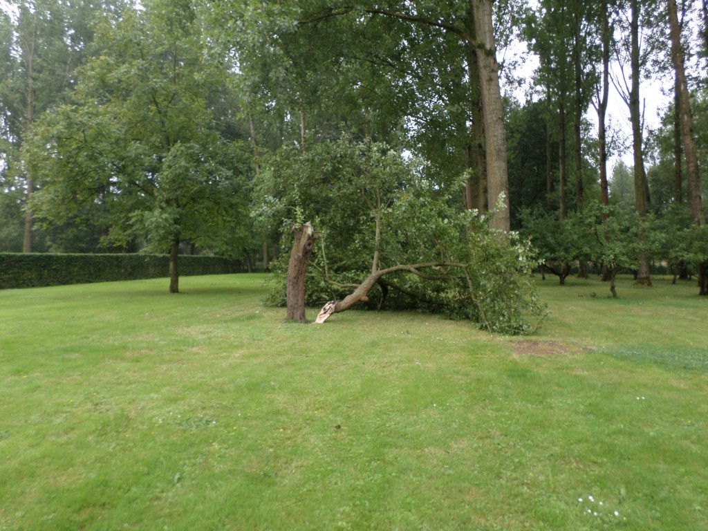 Tuinonderhoud — realisatie 6 door Tuinen Goovaerts